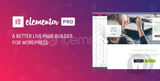 Elementor Pro 3.28.3/WordPress Sayfa Oluşturucu