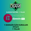 Elementor Pro Orjinal Lisans 1 Yıllıktır.