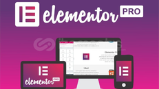 Elementor Pro 3.7.3 Sınırsız Lisans