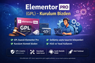 Elementor Pro – Kurulum Bizden