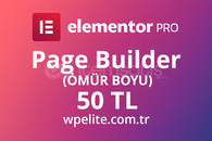 Elementor Pro Page Builder (OTO TESLİM)