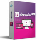 Elementor PRO - Sınırsız