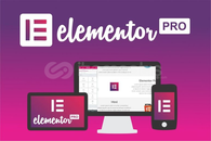 Elementor Pro | Sınırsız Kullanım 