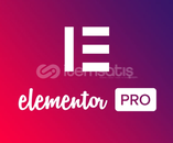 Elementor Pro - Sınırsız Kullanım