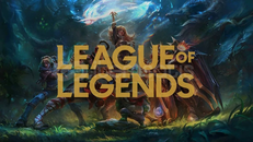 ----(ELİTE) 30TL RANDOM WR HESAP----