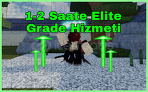 Elite Grade Hizmet TYPE://SOUL✨HIZLI TESLIMAT✨