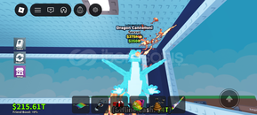 ELMAS DRAGON CANCOLONİ 375M