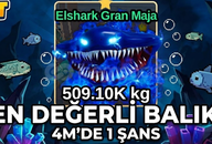 Elshark Grand Maja - 1/4m