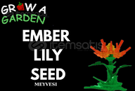 EMBER LİLY GROW A GARDEN