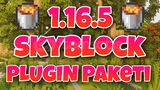 EMEK SKYBLOCK 1.16.5 GELİŞMİŞ PLUGİN PAKET