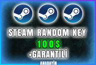 ✅En AZ 100 Dolar Steam Random Key✅