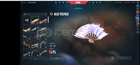 EN NADİR SKİNLERE SAHİP TRNİN EN DOLU HESABI !!