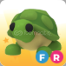 EN UCUZ !!! FR TURTLE (DAHA UCUZU YOK! )