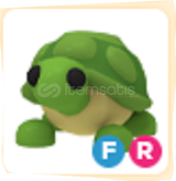 EN UCUZ FR TURTLE HIZLI TESLIMAT