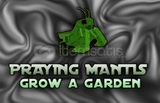 ✅ (EN UCUZ) PRAYING MANTIS GROW A GARDEN ✅