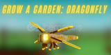 [EN UCUZ] DRAGONFLY !! [GROW A GARDEN]