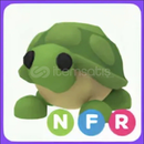 En Ucuza NFR Turtle !!!!!