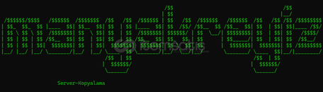 ⭐[EN UCUZU] Discord Sunucu Kopyalama⭐