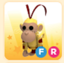 EN UCUZU FR MONKEY KİNG