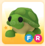 EN UCUZU FR TURTLE