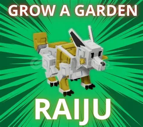 ⭐ (EN UCUZU) GAG RAİJU ⭐ ⭐ (EN UCUZU) GAG RAİJU ⭐