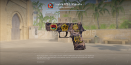 ✨ Hatıra P250 | Kuraklık✨