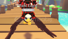 ⭐EN UCUZU⭐ Ride Bald Eagle (Exotic Pet 5 Value)