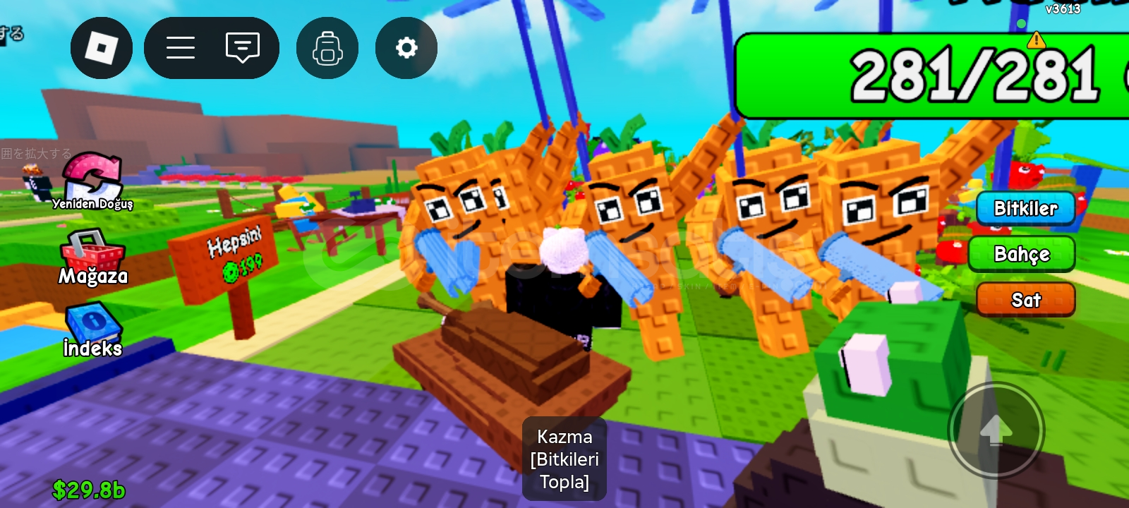 (en uygun) 5 mr carrot bitki pvb (en uygun) 5 mr carrot bitki pvb