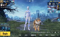 En Uygun Mavi Mumyalı Hesap