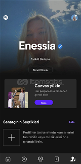 Enessia Spotify sanatçı hesabı!!