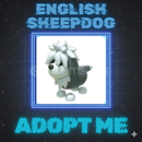 English Sheepdog Adopt Me