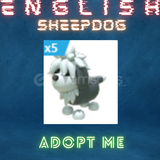 English Sheepdog Adopt Me