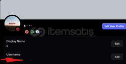 Erken Dönem Destekçisi Rozeti / Early hesap / 