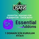 Essential Addons for Elementor - Ömür Boyu