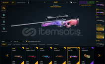 EŞSİZ ZWC 2018 AWP DESEN EŞSİZ ZWC 2018 AWP DESEN