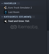 ETS 2 STEAM HESAP 