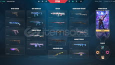 ✨[EU☘️ +40K VP ENV. / RGX 11z Pro Katana