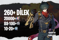 EU | IK30+ 260+ Dilek - 20000+ Polychrome 88/10