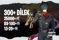 EU | IK30+ 300+ Dilek - 25000+ Polychrome 88/13