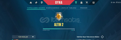 EU Mail Değişen ALTIN 2 Hesap | OTO Teslim