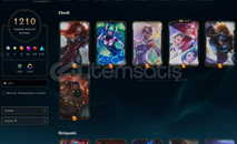 EUW 1211 SKİN İLK SAHİBİNDEN