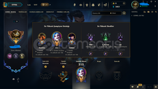  EUW 2013TE AÇILMIŞ 213 SKİN LOL HESABI
