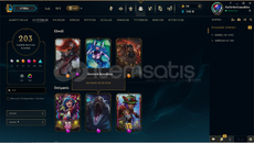 EUW - 501 lvl -142 b öz -203 kostüm 
