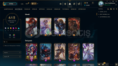 EUW | 612 KOSTÜM 399 LEVEL 21K+ ÖZ MAİL HESAP