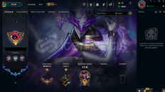 EUW Bronz 3 | 32 Kostüm - 53 Hero | Handmade