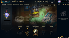 EUW Unranked | 5 Kostüm - 25 Hero | Handmade EUW Unranked | 5 Kostüm - 25 Hero | Handmade