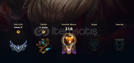 EUW / SILVER / 60 SKIN / HERO 144