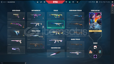 evori+anomali setli hesap low elo