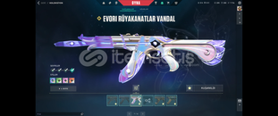 Evori Vandal + Karaborsa Kelebek