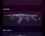 Evrim Vandal + 3200 vp + Wild rift